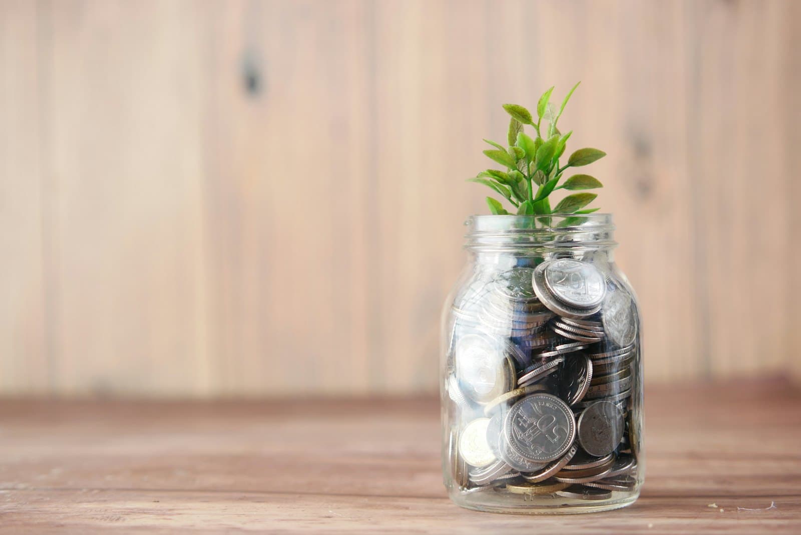 Jar of coins with a small plant growing from it