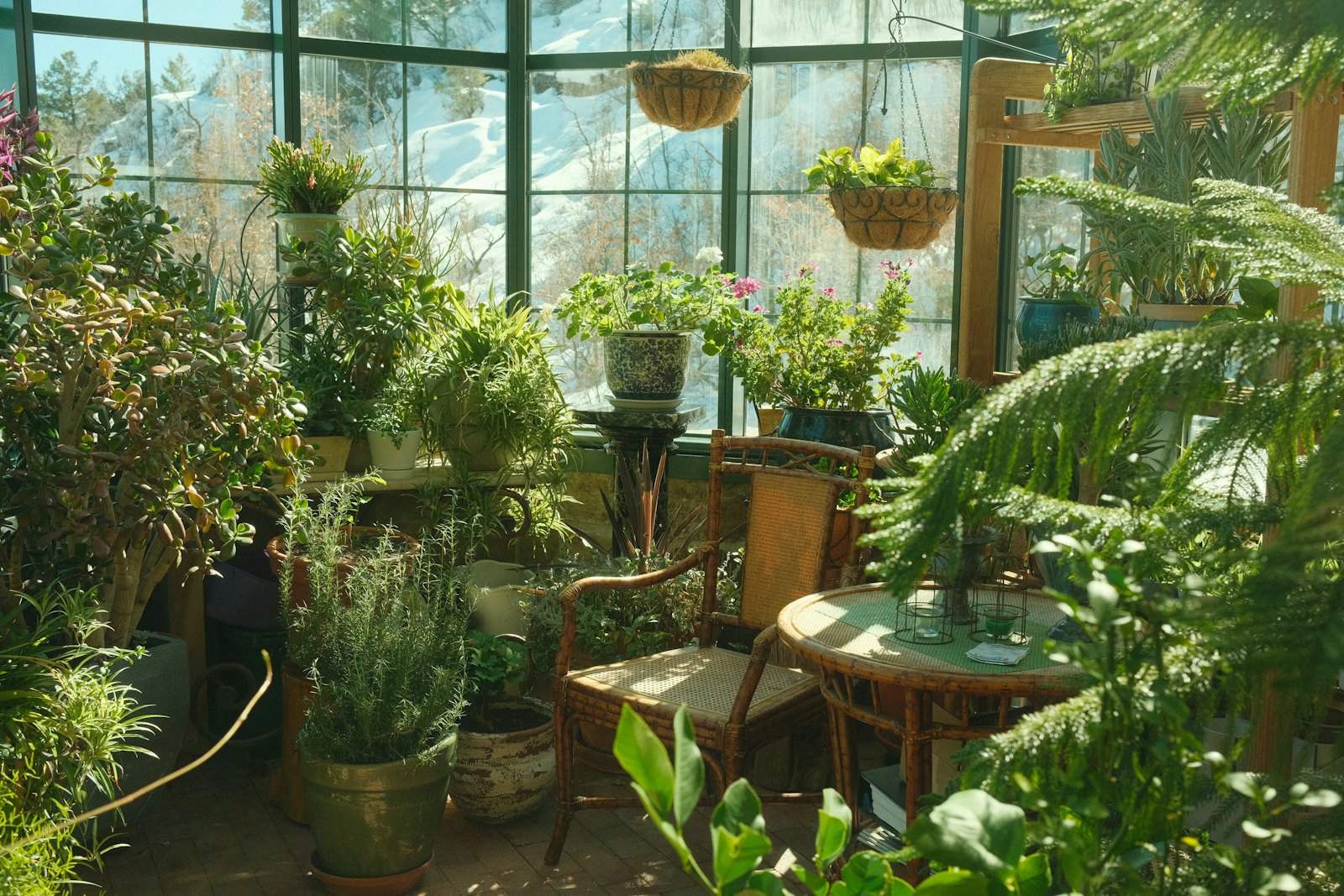 Glazed garden room full of plants and a small table